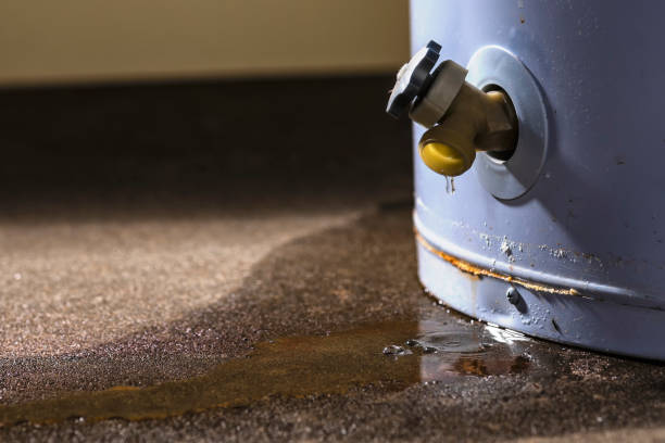 Best Flood damage cleanup  in Serenada, TX