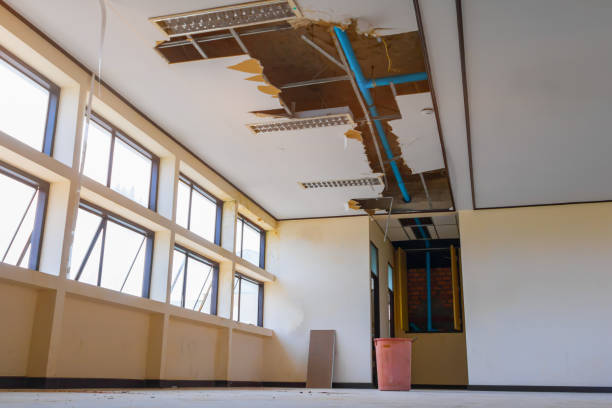 Best 24/7 water damage repair  in Serenada, TX