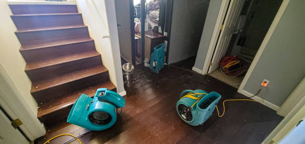 Best Residential water damage restoration  in Serenada, TX