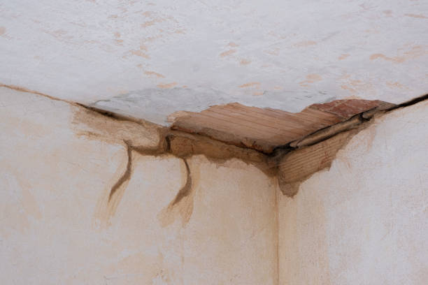 Best Water damage restoration near me  in Serenada, TX