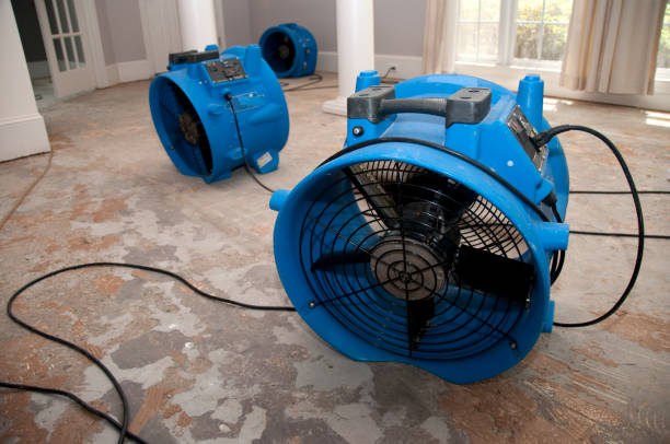 Best Commercial water damage restoration  in Serenada, TX