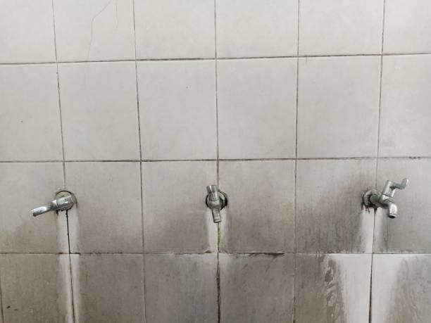 Best Flooded house restoration  in Serenada, TX
