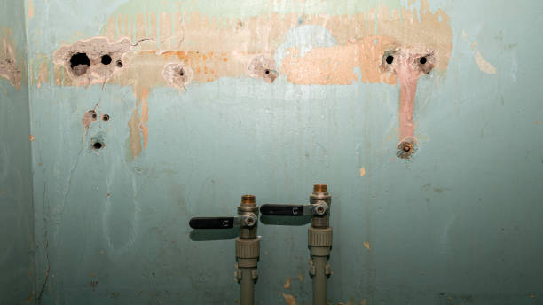 Professional Water damage restoration in TX