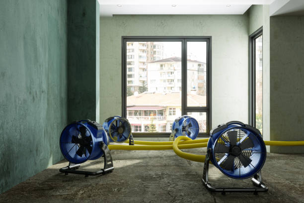 Best Ceiling water damage repair  in Serenada, TX